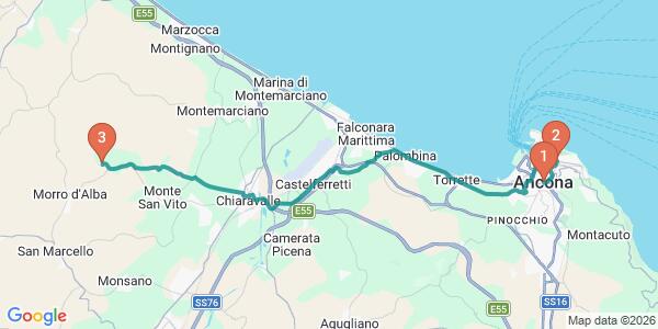 Ancona